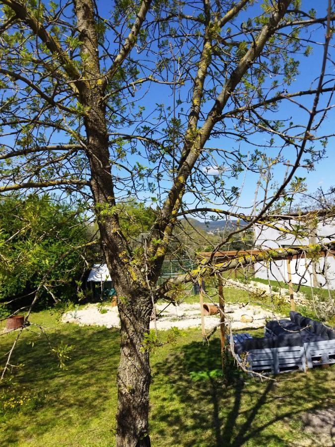 Mobile Home Saint-Christol-les-Ales Ngoại thất bức ảnh
